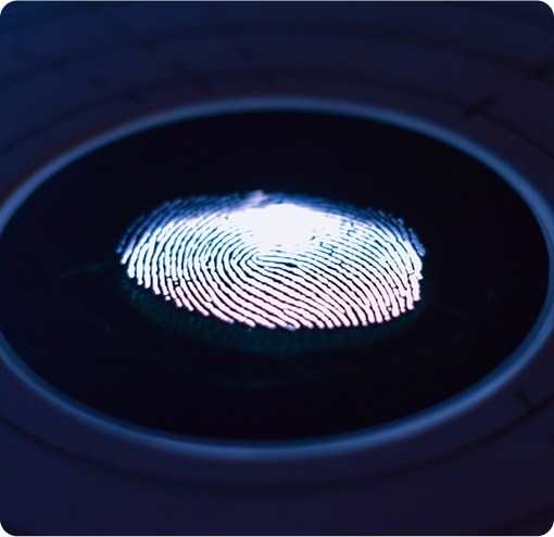 Fingerprint on a screen