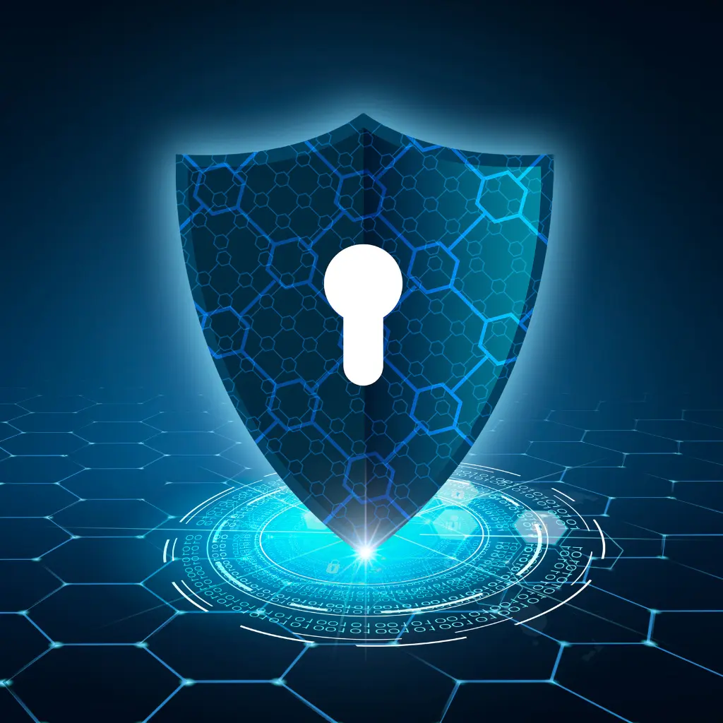 L8P8_SN_Centralized_Privacy